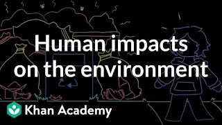 Human impacts on the environment | Middle school Earth and space science | Khan Academy