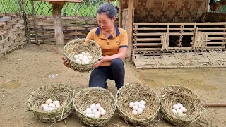 FULL VIDEO: Making nests for chickens to lay eggs - Harvest Sugar cane, Bananas, Melons market sell