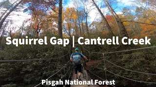 Mountain Biking Squirrel Gap and Cantrell Creek | Pisgah National Forest