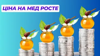 Ціна на мед розпочинає рух у сторону збільшення) Пасічники таки зароблять.