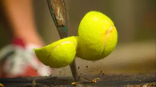 EVERYTHING Looks Better in Slow Motion! (Volume 6)