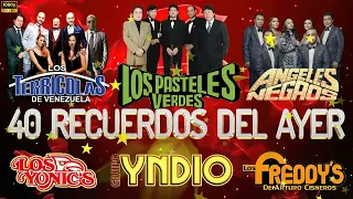 40 RECUERDOS DEL AYER🤠FREDDYS, TERRICOLAS, YNDIO,YONICS, ANGELES NEGROS, PASTELES VERDES,SOLITARIOS