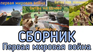 Первая мировая война, но это наши животные. Сборник, все серии!