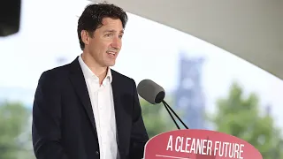 Reporter to Prime Minister Justin Trudeau: 'Why not just call an election?'