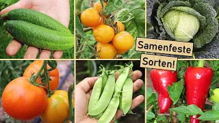 Die besten samenfesten Sorten für deinen Gemüsegarten 🍅🌱🌾 Meine Empfehlungen 🤫👍 Sortentipps 2023 😍