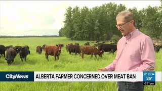 Alberta farmer concerned over China meat ban