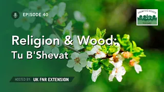 Religion and Wood - From the Woods Today - Episode 40