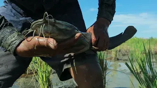 Wow amazing! a fisherman skill catch fish a lot in mud at field catch by hand today