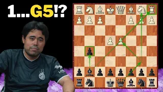 Learn the BORG Defense in Chess (1...g5)