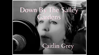 Down by the Salley Gardens - Irish Folk Song