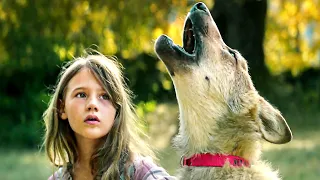 MYSTÈRE Bande Annonce (2020) Loup, Famille, Aventure