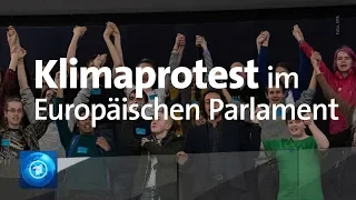 "Fridays for Future": Protest von Klimaaktivisten im EU-Parlament in Straßburg