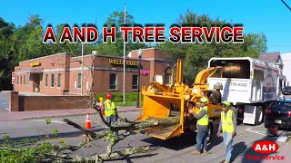 A and H Tree Service Bergen County NJ removing large tree over high tension wires.