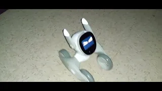 Loona Robot