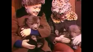 О буром медведе 1978