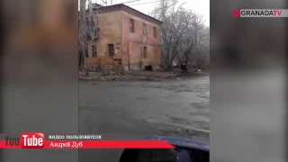Цирковой медведь свободно гулял по улицам Челябинска
