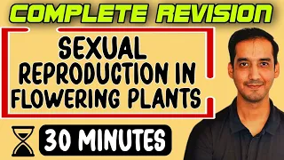 Sexual Reproduction in Flowering plants |Class 12| Quick Revision in 30 Minutes |CBSE|Sourabh Raina