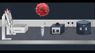 Coronavirus Test: Real time RT-PCR - Animation video