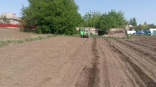 Посадка гарбуза нарізка рядків