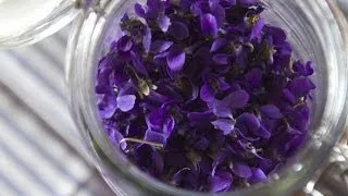 Making Perfume from Violets: Enfleurage | Fresh P