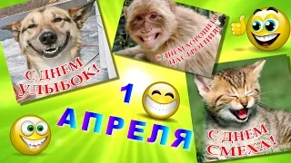 С 1 апреля! Прикольные шуточные пожелания.