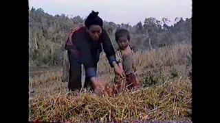 Nkauj Ntsuag Lub Neej - Hmong Movie