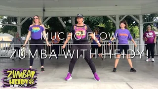 Mucho Flow by Illegales, Happy Colors | Zumba with Heidy!