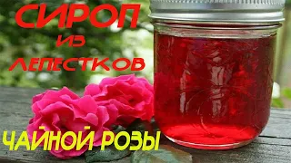 Сироп из лепестков чайной розы! Лёгкий рецепт! #сиропизлепестковроз  , #розовыйсироп, #рецептсиропа