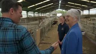 Clipex Sheep Handler Takes Center Stage on Channel 4!