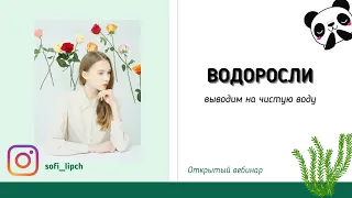 ВОДОРОСЛИ | Вся теория для ЕГЭ и ОГЭ | Биология водоросли |