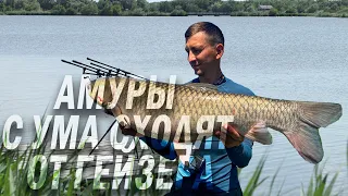 АМУРЫ СХОДЯТ С УМА ОТ ЭТОГО ГЕЙЗЕРА. РЫБАЛКА НА АМУРА. Розыгрыш гейзера FISH UP