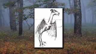 History of a Legend: Mrs. Leeds and The Jersey Devil