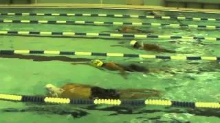 Total Immersion Master's Set with TI Coach Maria -  10 x 300 Tempo Set