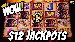 $12 Jackpot's On Buffalo Gold Make You Say WOW 🤯