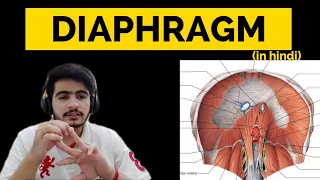 Diaphragm - 1 | Abdomen