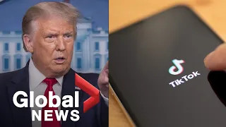 Trump says U.S. should get a "very large percentage" of TikTok sale price