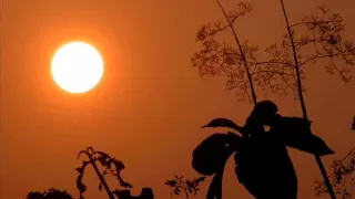 Raag Charukeshi, Ustad Sultan Khan, Sarangi