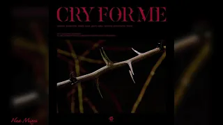 [CLEAN ACAPELLA] TWICE - Cry For Me