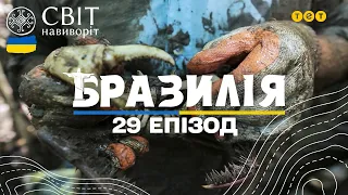 Небезпечне полювання на мангрових крабів. Бразилія. Світ навиворіт 10 сезон 29 випуск