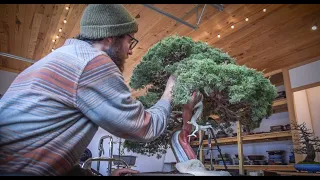 In the Workshop, Ep. 6 | The Unwritten Rules of Bonsai