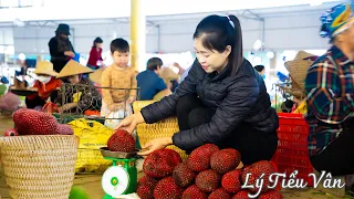 How to harvest Red Wild Pineapple & Goes to the Market sell - Harvesting and Cooking | Daily Life