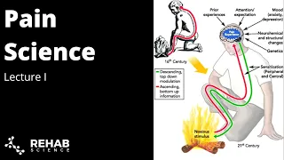 Pain Science: Part 1