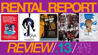 RENTAL REPORT REVIEW // 240212