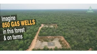 850 coal seam gas wells for the Pilliga Forest in NSW?