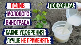 🍇 Как ПОЛИВАТЬ. Чем ПОДКОРМИТЬ молодой виноград в мае. От ЭТИХ УДОБРЕНИЙ на винограде только ВРЕД.