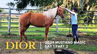 Dior Vlog Day 1 (Part 2): 2024 Mustang Magic Makeover