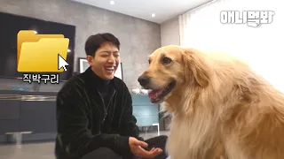 What Happened When Jeong-shin From CNBLUE Walked His Dog Simba