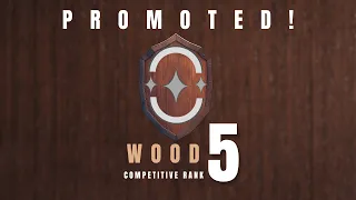 Valorant Funtage - Wood Rank VOL.5