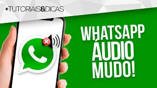 🔇 Áudio do WhatsApp MUDO e não funciona? Como resolver esse erro (Atualizado)