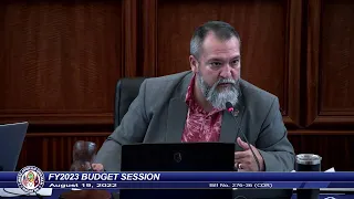 36th Guam Legislature FY2023 Budget Session - August 19, 2022 AM